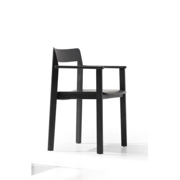 Lisa XL Chair with Armrests True Design Img1